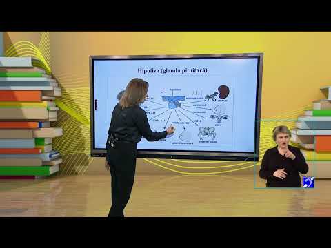 TeleŞcoala: Biologie clasa a XII-a – Model Test Bacalaureat 2022 (@TVR2)