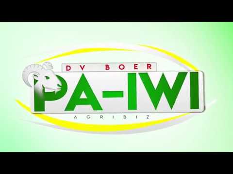 download lagu mp3 mp4 Paiwi Online, download lagu Paiwi Online gratis, unduh video klip Paiwi Online