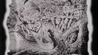 Adultery   In the stars