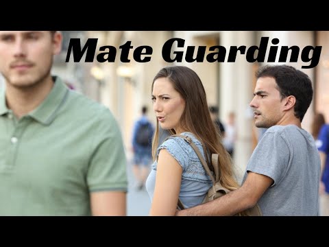 How To Handle Jealousy As a Man - Mate Guarding