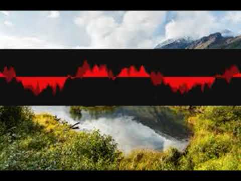 Dhrupad Duo   Lute   xwyfquzxca