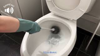 Clorox Satisfying Toilet Bowl ASMR with Clorox