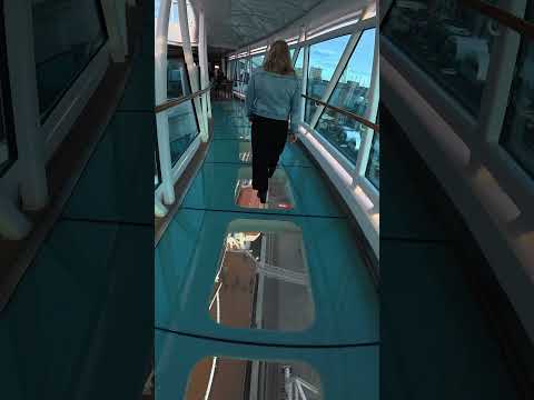 Thumbnail for Walking on Water! 😱 | Majestic Princess SeaWalk 🌊👣 #MajesticPrincess #CruiseLife #SeaWalk