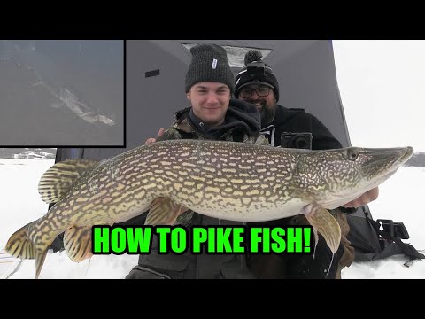 Ice Fishing for Big Pike | Everything you need to know!