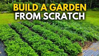 The Easiest No-Till Garden Beds – No Weeding, No Digging!