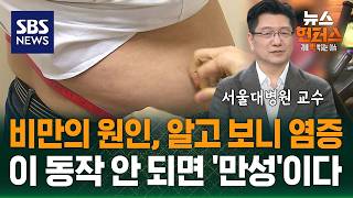 [이슈빡] 비만의 원인, 알고 보니 염증..이 동작 안 되면 '만성'이다 / SBS / 뉴스헌터스