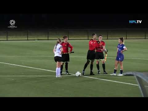 NPL NSW Women's Round 19 Highlights – Northern Tigers v Manly United