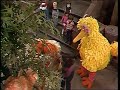 Sesame Street 1466 Barkley Meets A Cat 1980