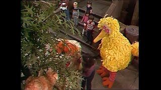 Sesame Street 1466: Barkley Meets a Cat (1980)