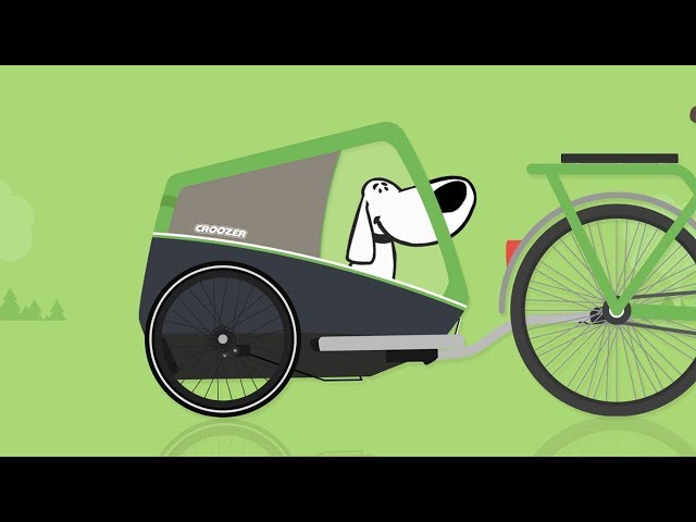 Video teaser for So gewöhnst Du Deinen Hund Schritt für Schritt an seinen Fahrradanhänger!