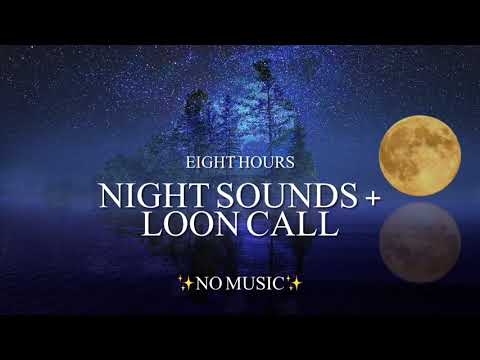 {8 Hours} Nature Sounds At Night & Occasional Loon Call **No Music**