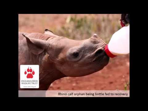 Endangered Wildlife Trust 2014