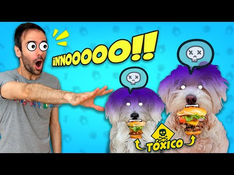 MY DOGS EAT HUMAN HAMBURGERS BUT IT TURNS WRONG!!