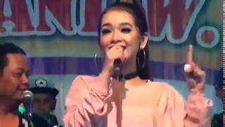Download lagu RINDI SAFIRA - HEY TAYO - DANGDUT KOPLO mp3