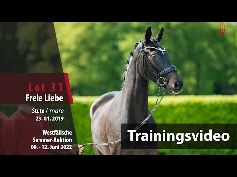 Sommer-Auktion Training Lot 31 Freie Liebe Stute v. Finest Selection - Christ