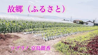 Download lagu 故郷(ふるさと)Furusato作曲：岡野貞一、作詞：髙野辰之／Sop.京島麗香 mp3