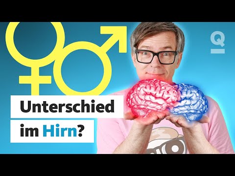 Ticken Männer von Natur aus anders als Frauen? 🧠 | Quarks Dimension Ralph