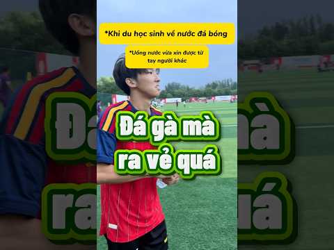 Khi thanh niên du học sinh đá gà nhưng thích ra vẻ