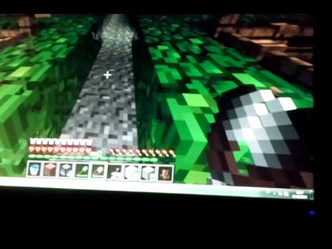 Minecraft il nostro villaggio ep.1