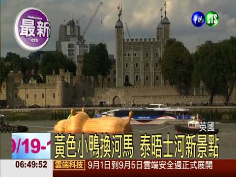 霍夫曼新作品 河馬泰晤士河上飄