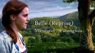"Belle (Reprise)" Mandarin (Putonghua) S+T | Beauty and the Beast 2017