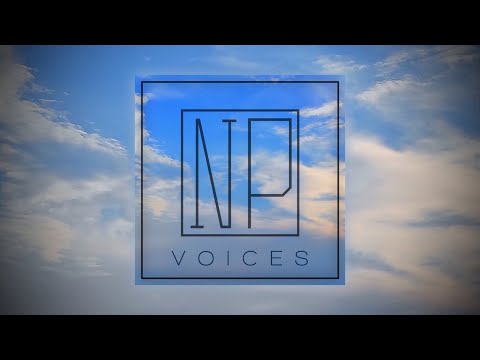 Nemanja Pavlovic - Voices (NP Guitar)