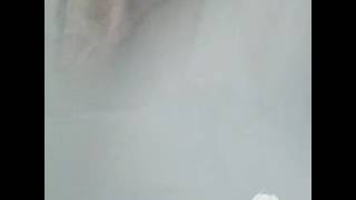 Thought I Heard (Bread Winners Anthem) - www.9xmaza.Com - Kevin Gates