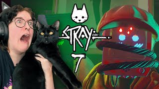 BETRAYAL - Stray Pt 7
