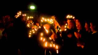 Brings  Riesenkamell