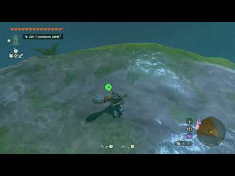 1st used Sticky Elixir | The Legend of Zelda: Tears of the Kingdom