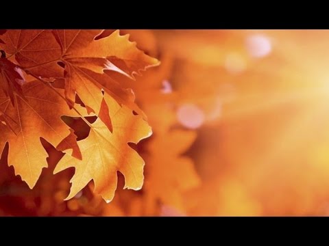 Dva savjeta za ustrajnost na pravom putu