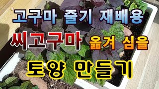 [텃밭농부. 1,347]  씨고구마 옮겨 심을 밭에 토양만들기 #고구마재배