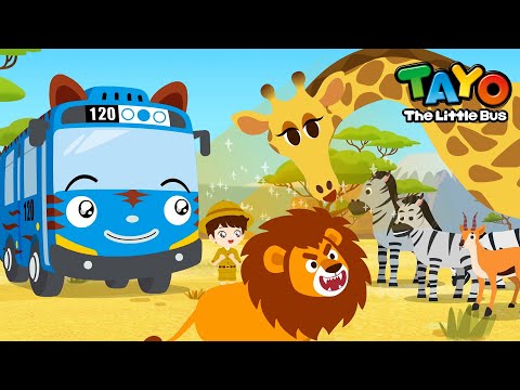 Giraffe! The Superstar Of Herbivores l Safari Bus Tayo l Learn Animals with Vehicles