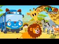 Giraffe The Superstar Of Herbivores L Safari Bus Tayo L Learn Animals With Vehicles