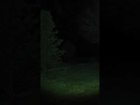 ufo georgetown Indiana.  x2