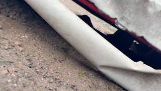 Broyeur pour tracteur Lely 280 T | Image 4 - Agroline