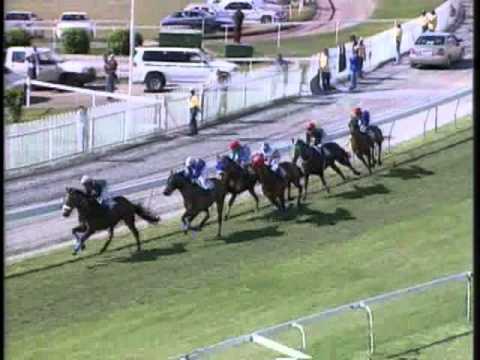 THE SUPERTOTE EXOTIC BETS TROPHY. Meeting 21 Race 5 - 2011-215.avi