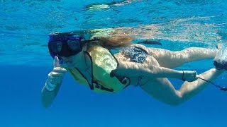 Snorkeling  Cozumel Palancar Reef !  Family Vacation