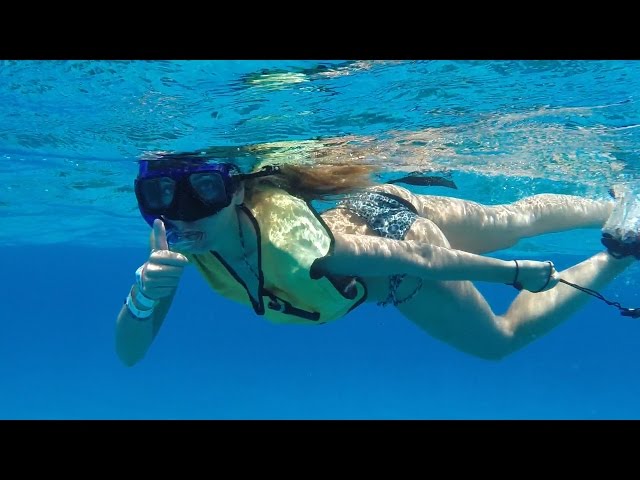 Snorkel Cozumel Colombia Reef !