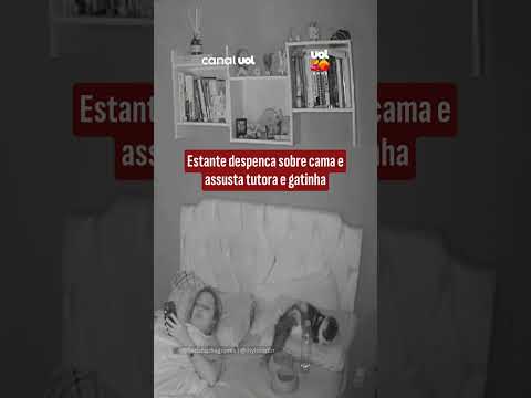 Estante despenca sobre cama e assusta tutora e gatinha