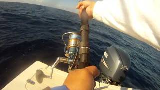 Shimano stella 10000 fa