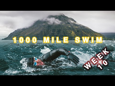 1000 MILE SWIM AROUND ICELAND - WEEK 10