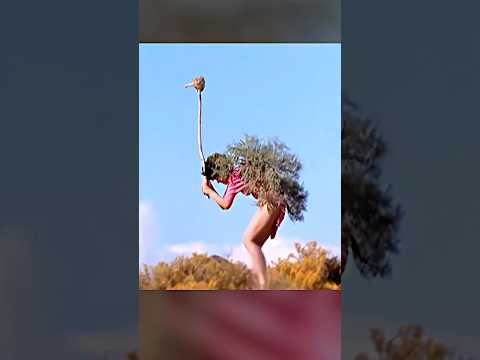 😱 S-a prefăcut că e struț… dar ce a urmat i-a pus viața în pericol!