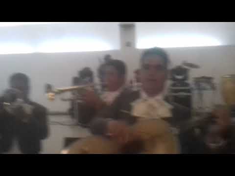 Ruben plata avisame..7221477508