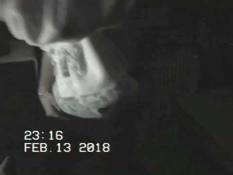 NIT - FREESTYLE(2018)