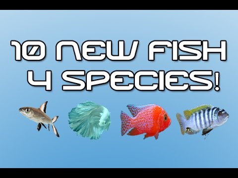 10 New tropical fish unboxing 4 species for the Fluval Roma 240 / 55