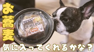 年越しじゃないけど年越しそば食べたよ🐶