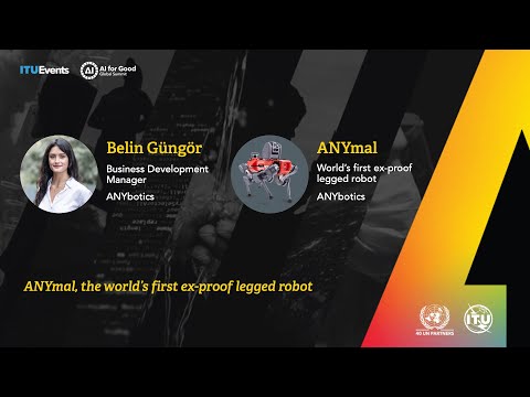 ANYmal Review Video 3