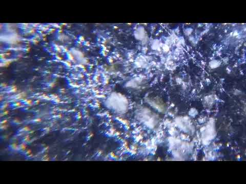 black diamond carbonado,cebu philippines,