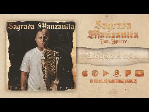 Aréchiga El Chino - Tony Aguirre (Audio Oficial)